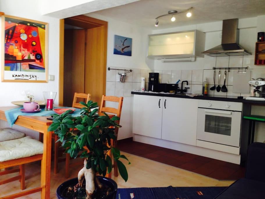 Ferienwohnung Am Brunnenplatz Бад-Зоден-Аллендорф Экстерьер фото